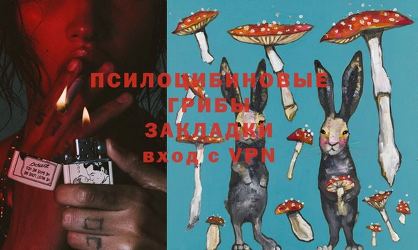 СК Карпинск