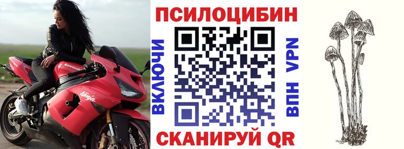 маркетплейс Telegram  Димитровград  Галлюциногенные грибы MAGIC MUSHROOMS 